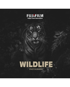 Wildlife Photography: William Chua