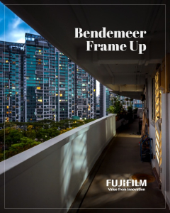 Bendemeer Frame Up