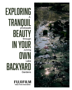 Exploring tranquil beauty in your own backyard