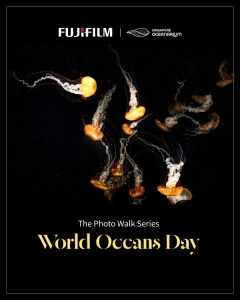 World Oceans' Day
