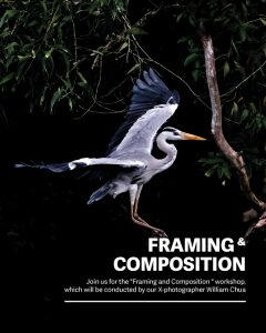 Framing and composition workshop